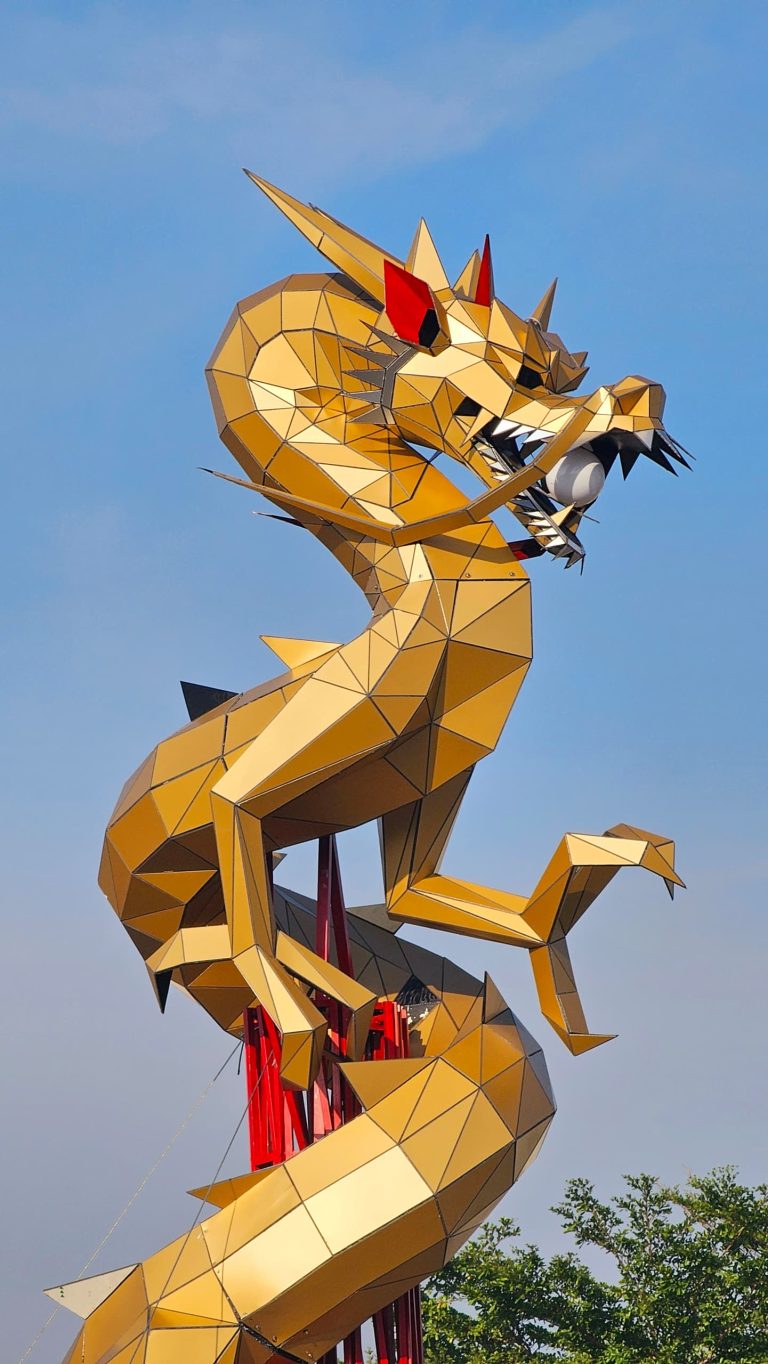 Acp Product Dragon Project